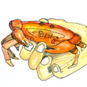CATCHING CRABS