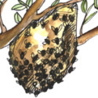 BEEHIVE