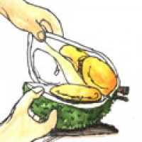 EATING DURIAN