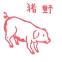 WILD BOAR, PIG