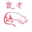 RAT,MOUSE