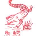 CROCODILE