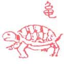 TORTOISE