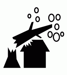 Tree Fell On House
