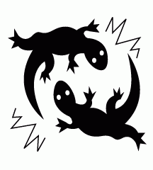 Lizards Fighting