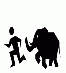 Chased By Elephant