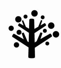 Iron Tree Blossomed