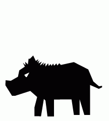 Wild Boar