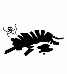 Tiger Killed