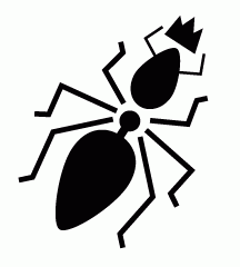 Queen Ant