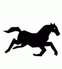 Wild Horse