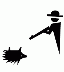 Porcupine Killed By Hunter