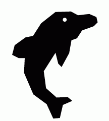 Dolphin