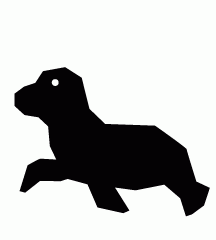 Sea Lion