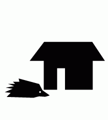 Porcupine Entered House