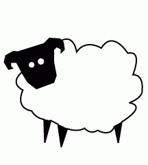 Sheep
