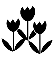 Flower Exhibition