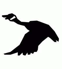 Goose Flying
