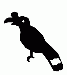 Hornbill Bird