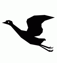 Crane (Bird)