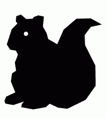 Squirrel