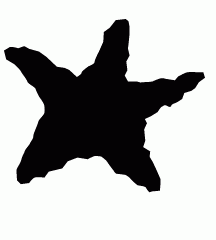 Starfish