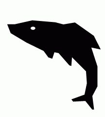 Salmon Fish