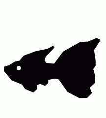 Peacock Fish
