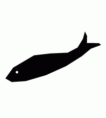 Mackeral