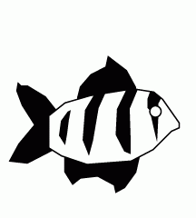 Tiger Fish