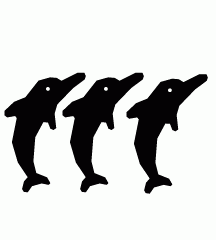 School Of Dolphins