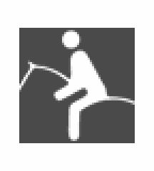 Watching Equestrian Competition