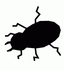 Rice Beetle