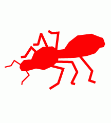 Red Ant