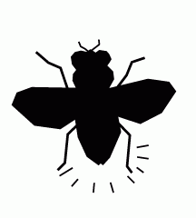 Firefly