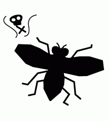 Dead Fly