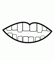 Teeth