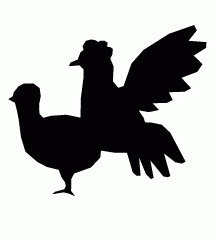Chicken Mating