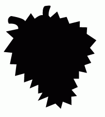Odd Shape Durian