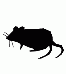 Deformed Rat