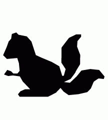 Deformed Squirrel