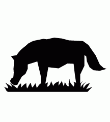 Horse Eating Grass