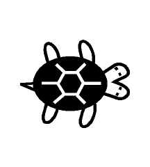 Two-Headed Tortoise