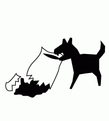 Pillow Torn By Dog
