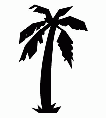Coconut Tree