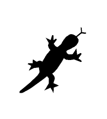 Lizard
