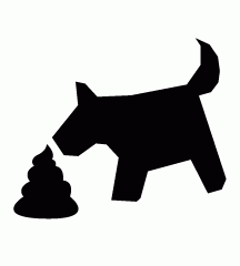 Dog Eating Poop