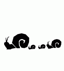 Snail Shell