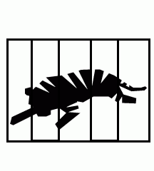 Tiger Cage