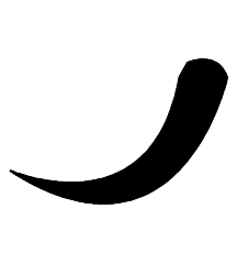 Elephant Tusk